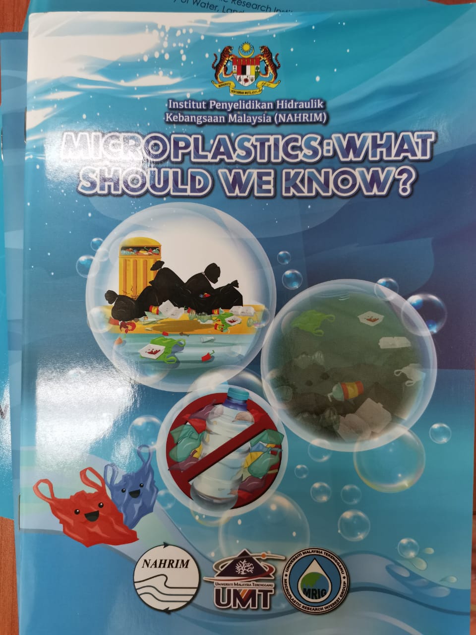 Thumbnail for MICROPLASTICS: WHAT SHOULD WE KNOW?