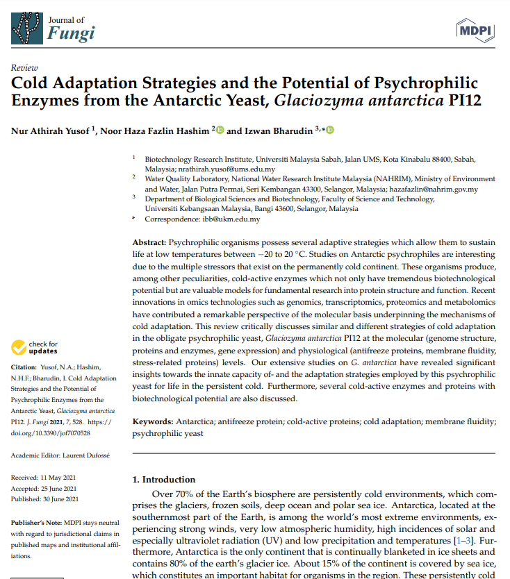 Thumbnail for Cold Adaptation Strategies and the Potential of Psychrophilic Enzymes from the Antarctic Yeast, Glaciozyma antarctica PI12