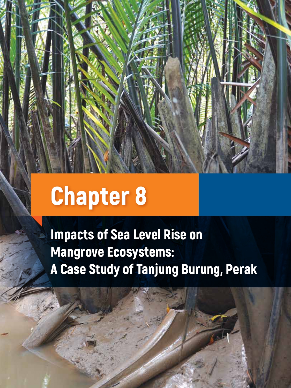 Thumbnail for Chapter 8: Impacts of Sea Level Rise on Mangrove Ecosystems: A Case Study of Tanjung Burung, Perak