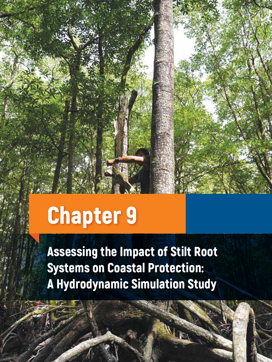 Thumbnail for Chapter 9 : Assessing the Impact of Stilt Root Systems on Coastal Protection: A Hydrodynamic Simulation Study