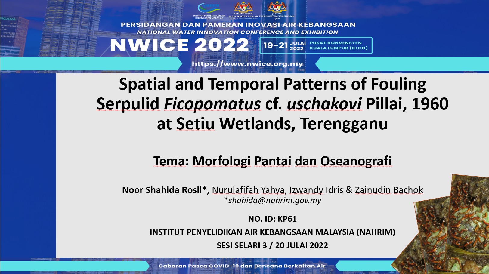 Thumbnail for SPATIAL AND TEMPORAL PATTERNS OF FOULING SERPULID Ficopomatus cf. uschakovi PILLAI, 1960 AT SETIU WETLANDS, TERENGGANU